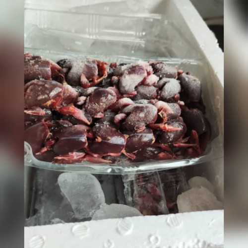 خرید گوشت گنجشک